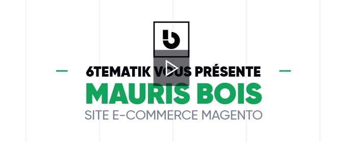 6tematik - Réalisation d'un site e-commerce Magento pour Mauris Bois