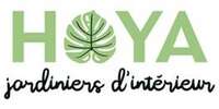 hoya.jpg